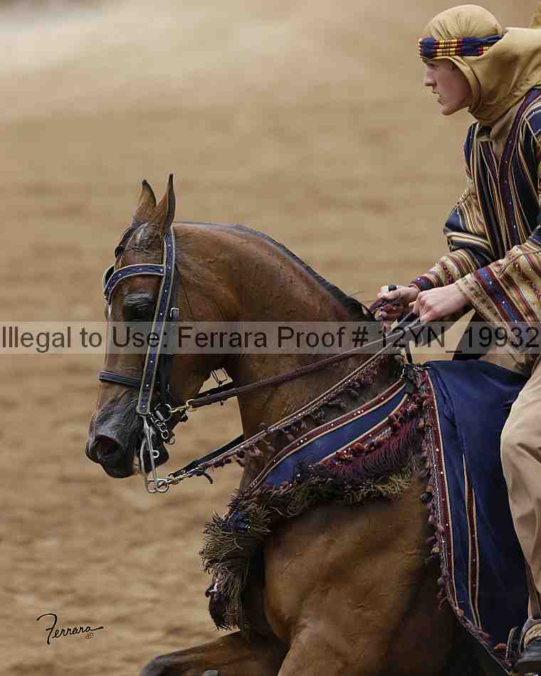 Proof 12yn_19932