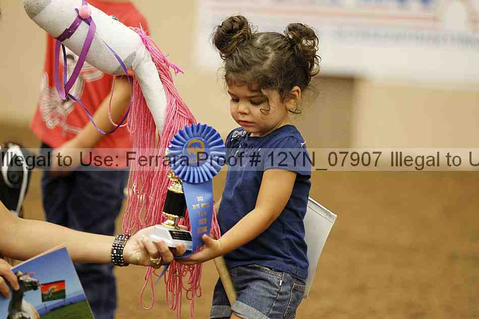 Proof 12yn_07907