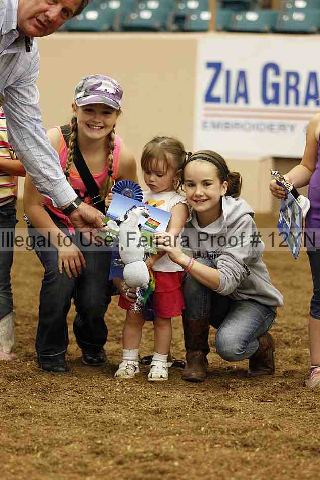 Proof 12yn_07934