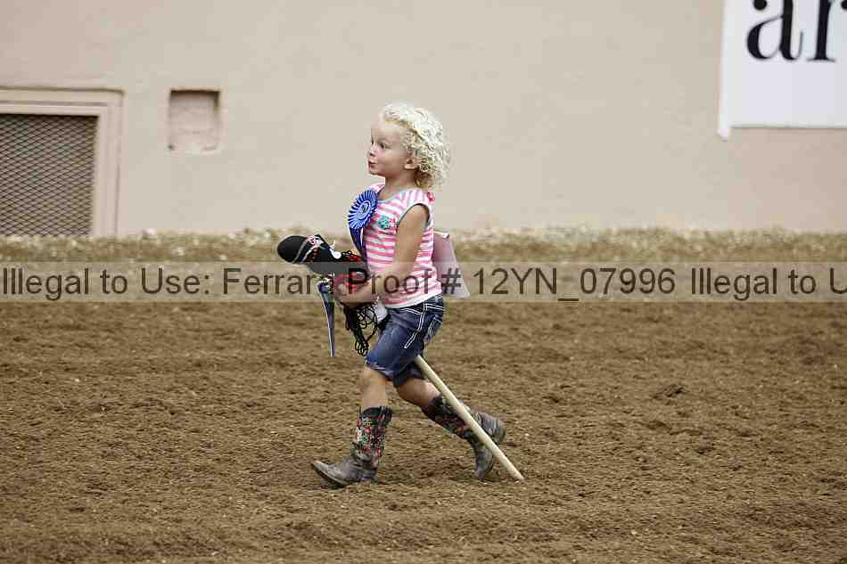 Proof 12yn_07996