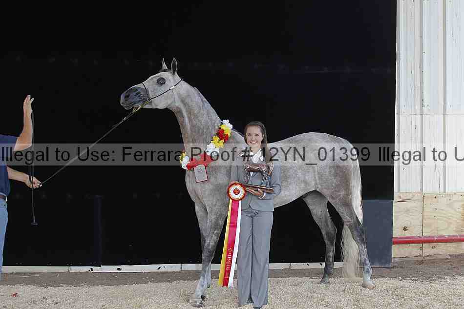 Proof 12yn_01399