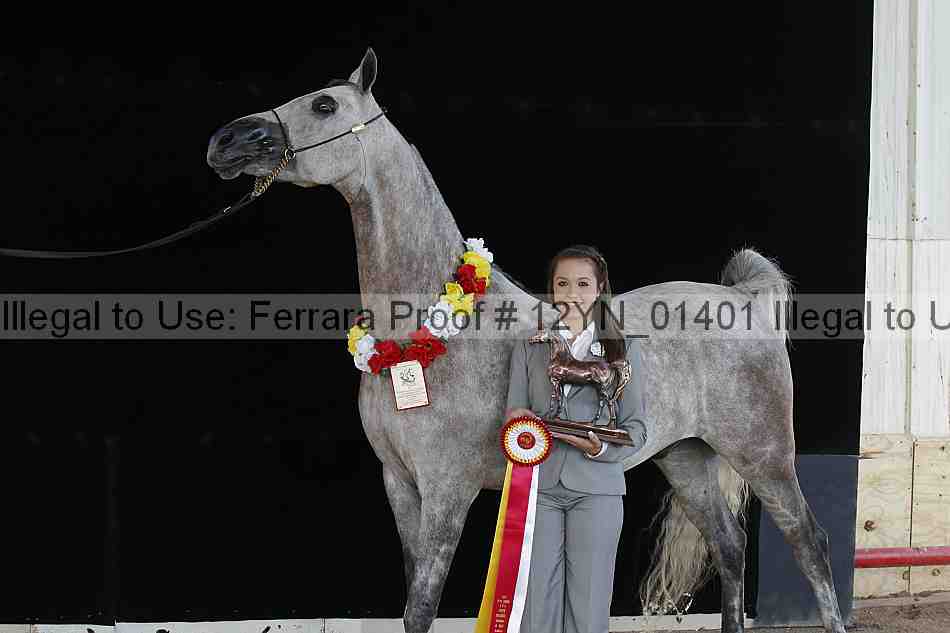 Proof 12yn_01401