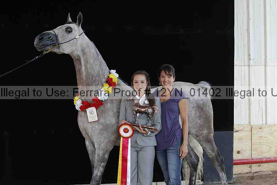 Proof 12yn_01402