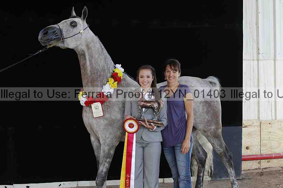 Proof 12yn_01403
