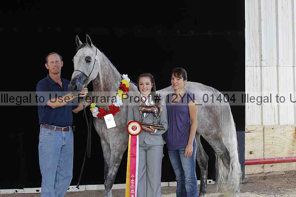 Proof 12yn_01404