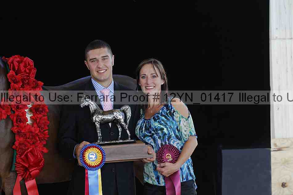 Proof 12yn_01417