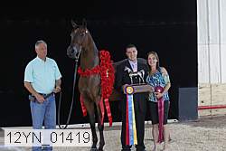 12yn_01419 proof