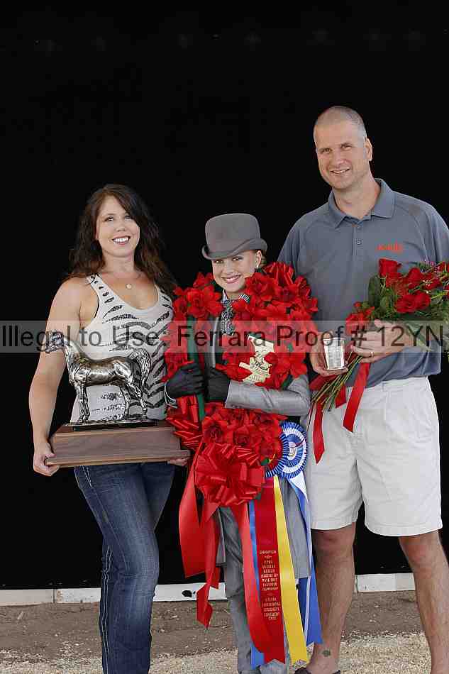 Proof 12yn_01480