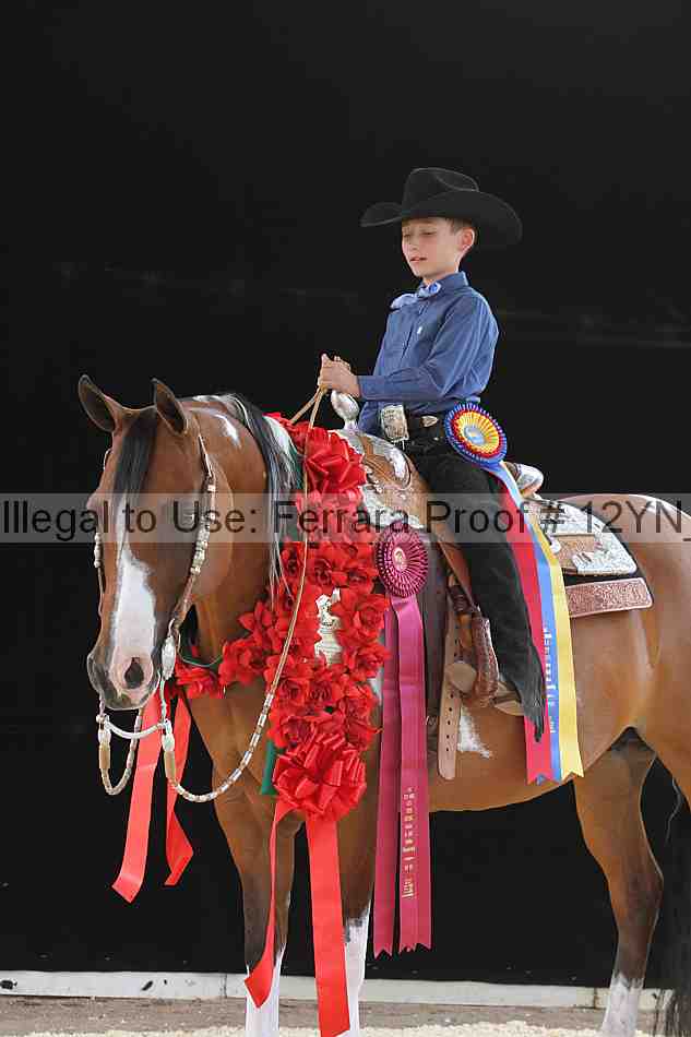 Proof 12yn_04283