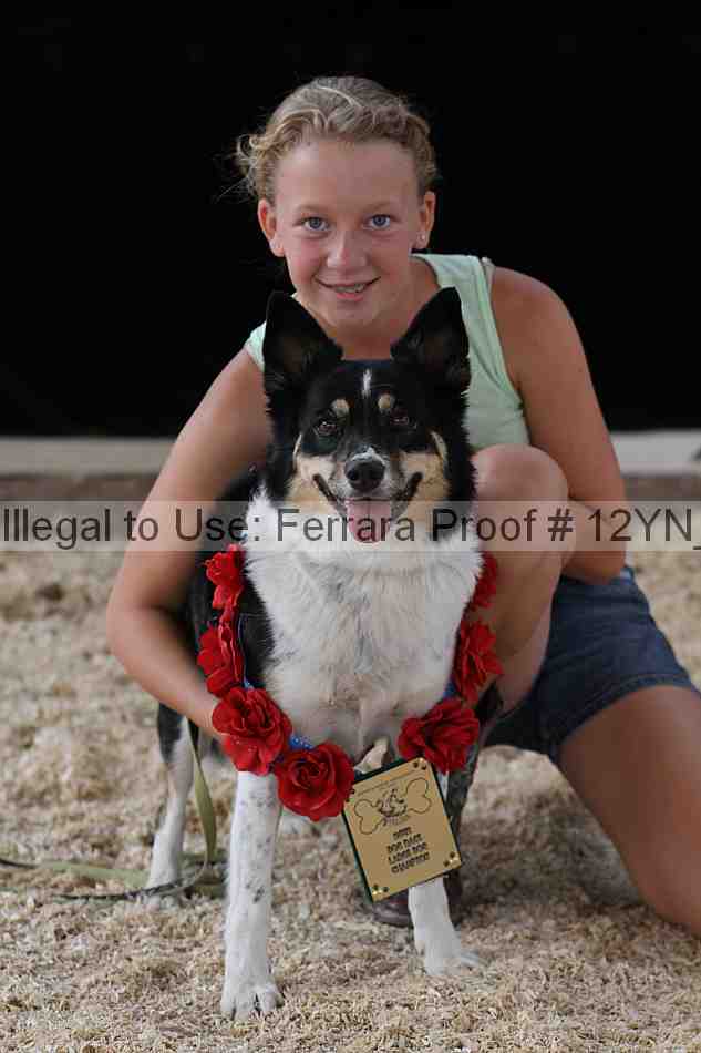 Proof 12yn_19693