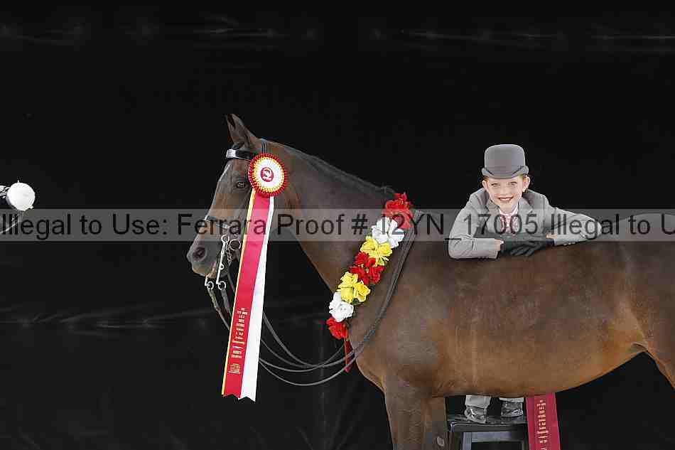 Proof 12yn_17005