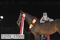 12yn_17005 proof