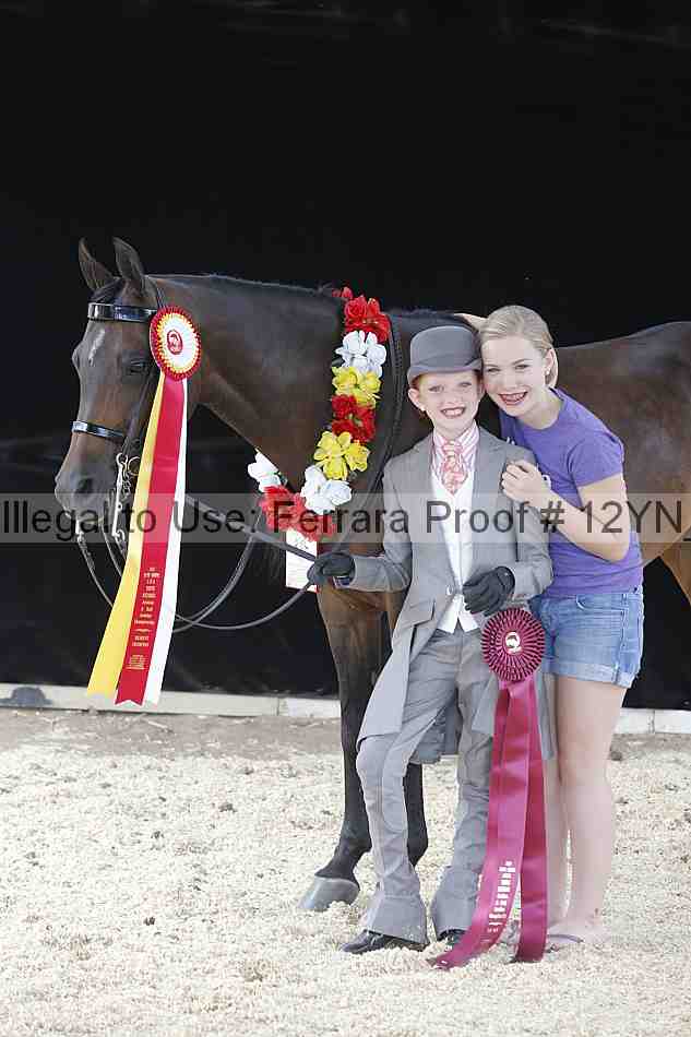 Proof 12yn_17009