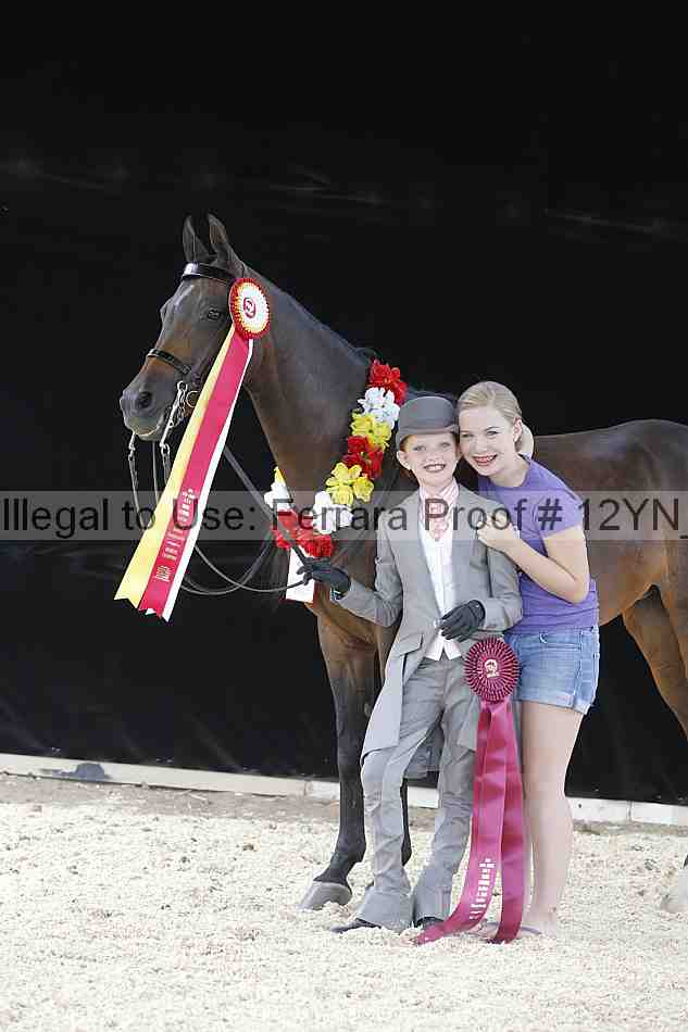 Proof 12yn_17010