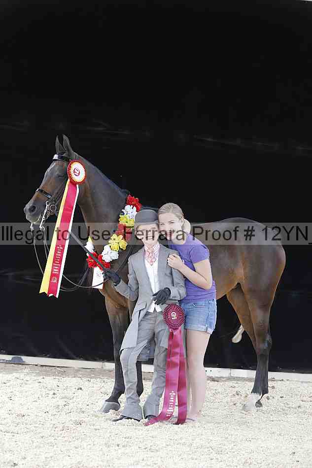 Proof 12yn_17011