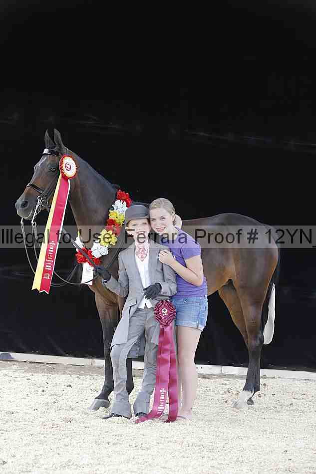 Proof 12yn_17012