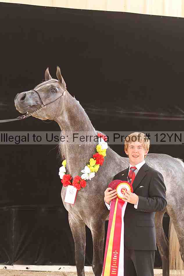 Proof 12yn_17705