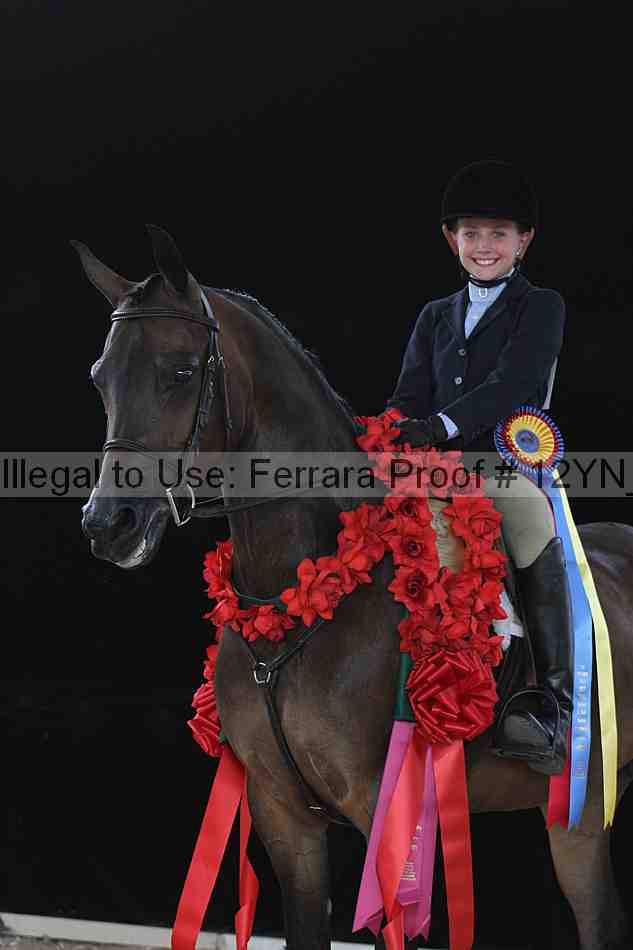 Proof 12yn_18685