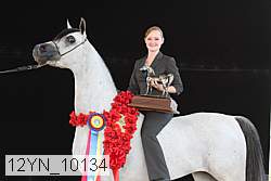 12yn_10134 proof