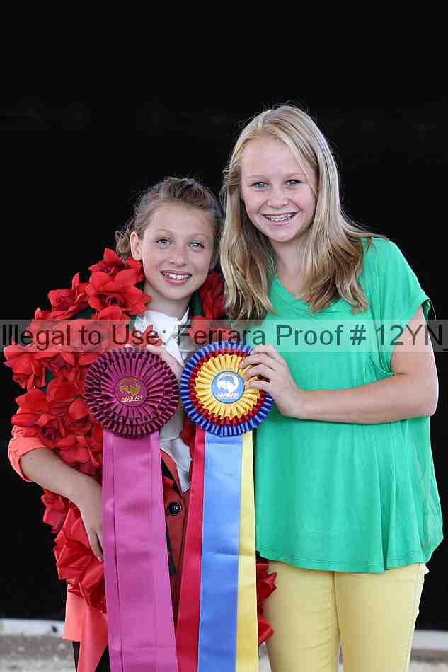 Proof 12yn_10196