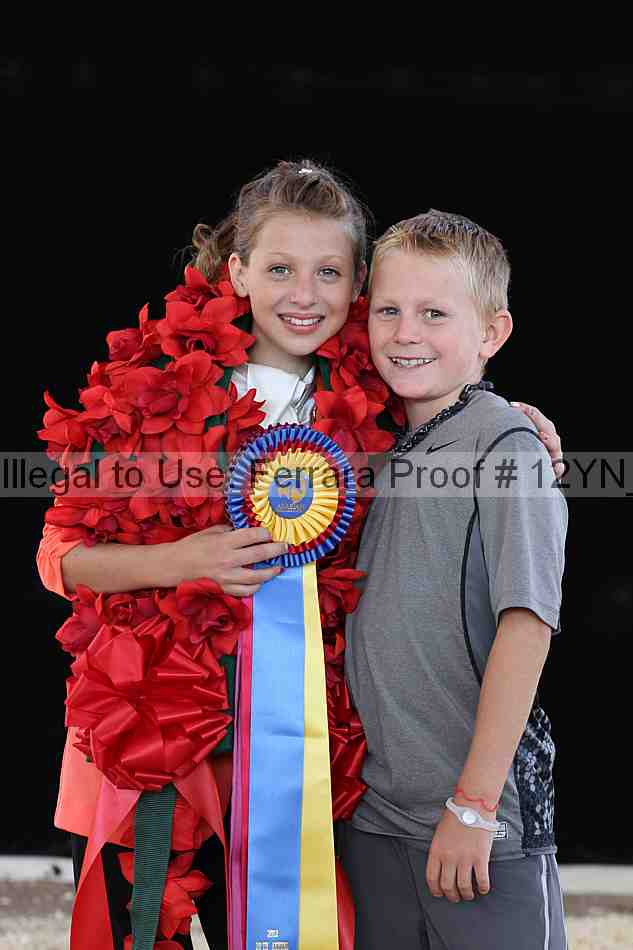 Proof 12yn_10197
