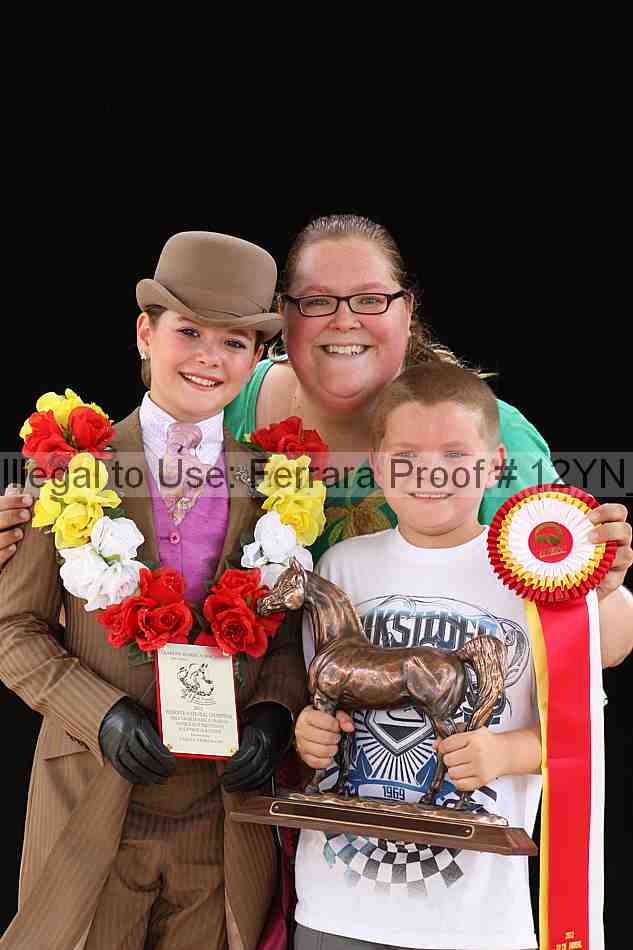 Proof 12yn_11029