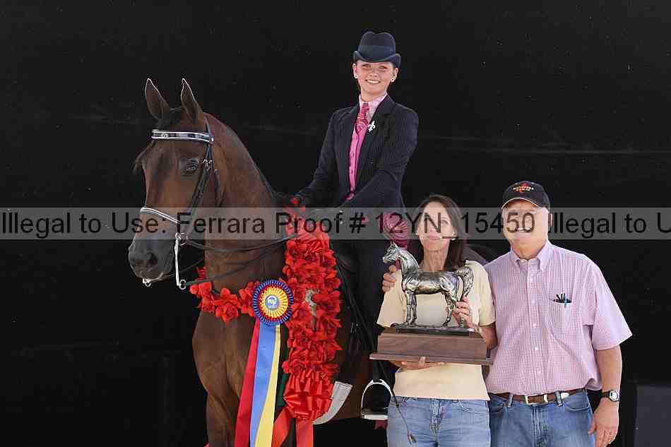 Proof 12yn_15450
