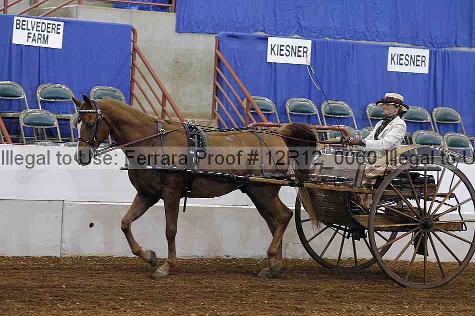 Proof 12r12_0060