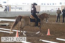 12r12_0253 proof