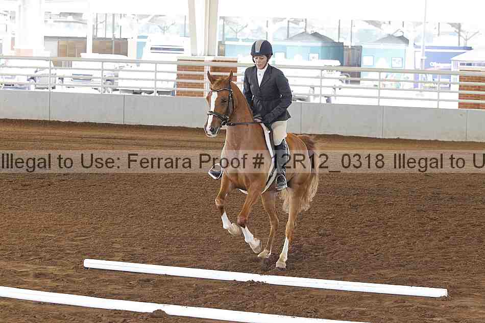 Proof 12r12_0318