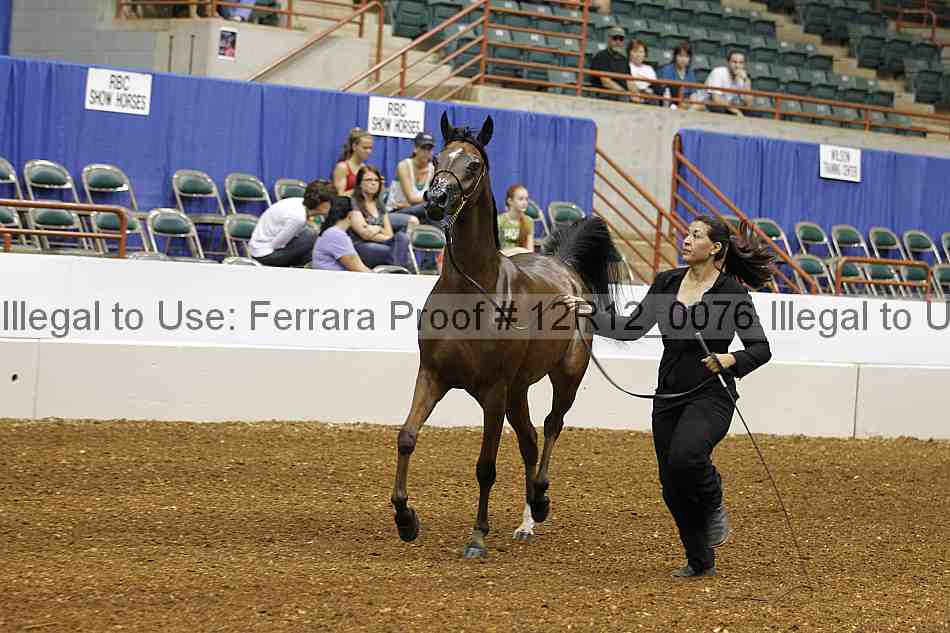 Proof 12r12_0076