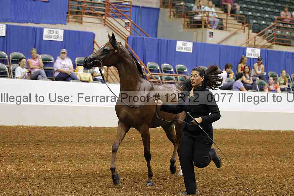 Proof 12r12_0077