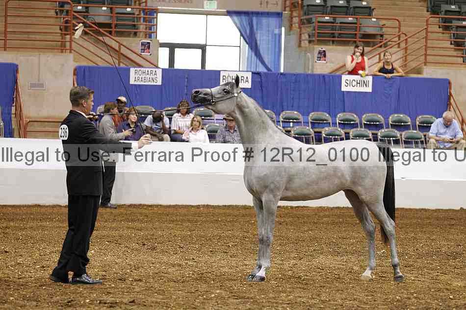 Proof 12r12_0100