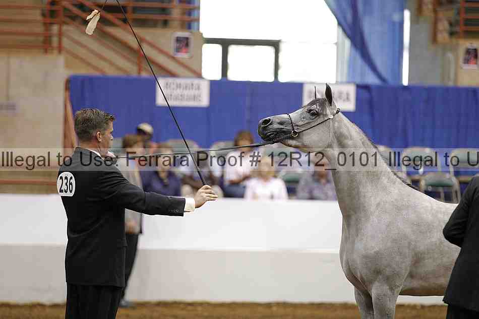 Proof 12r12_0101