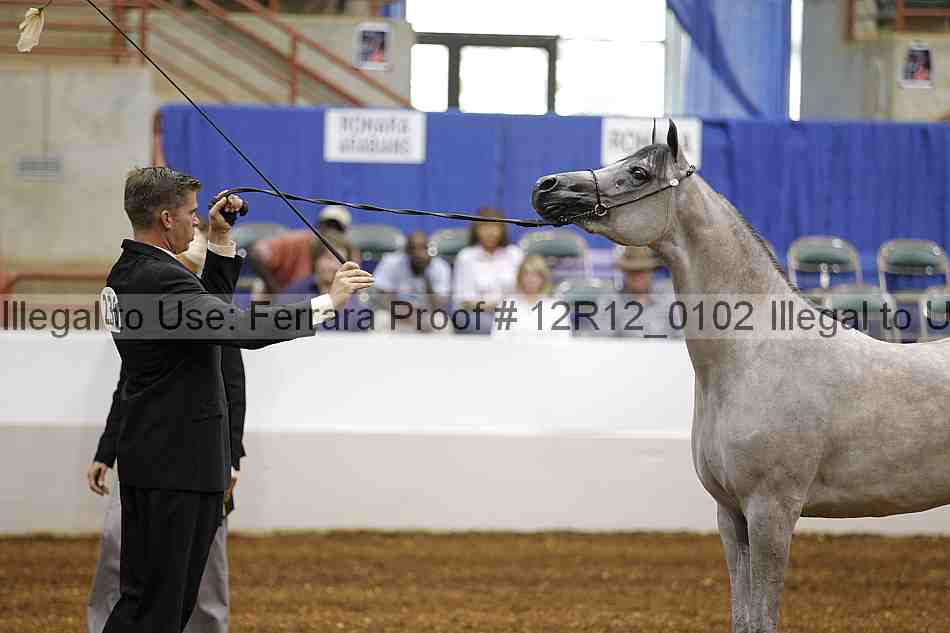 Proof 12r12_0102