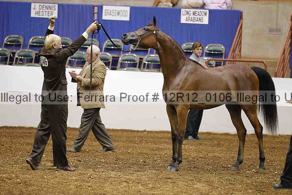 Proof 12r12_0106
