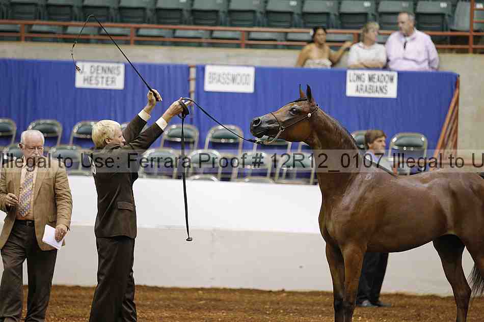 Proof 12r12_0107
