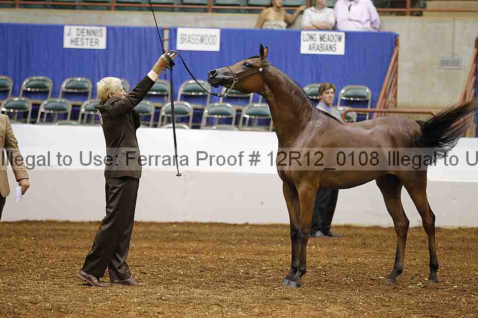 Proof 12r12_0108