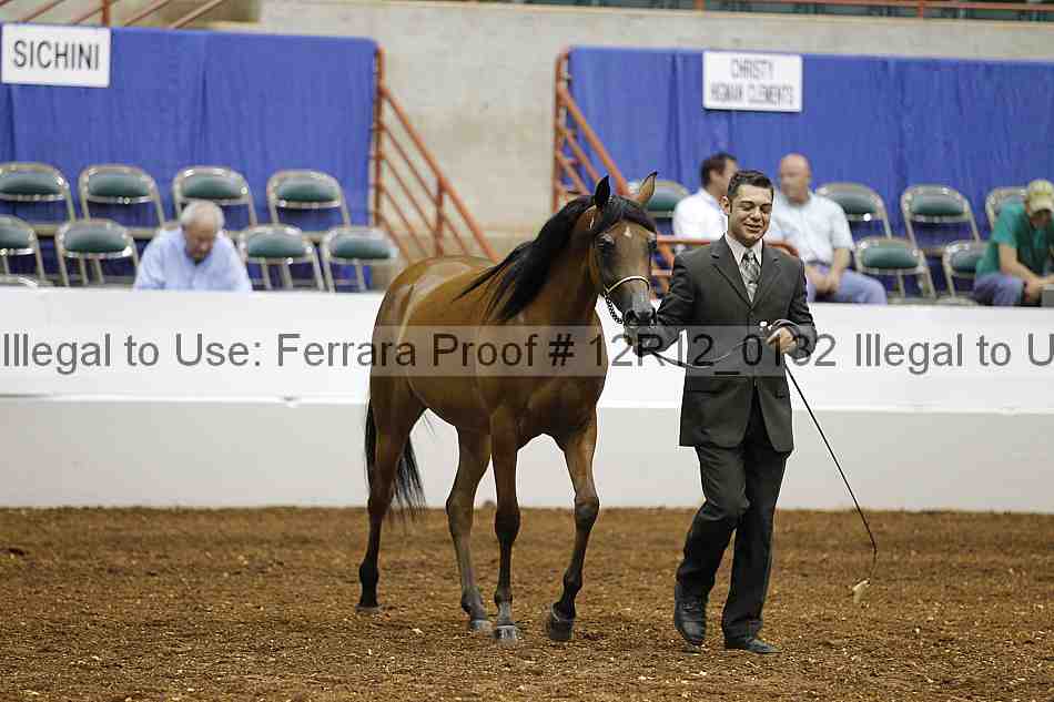 Proof 12r12_0132