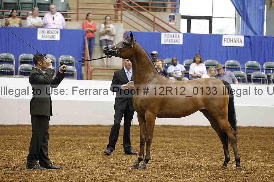 Proof 12r12_0133
