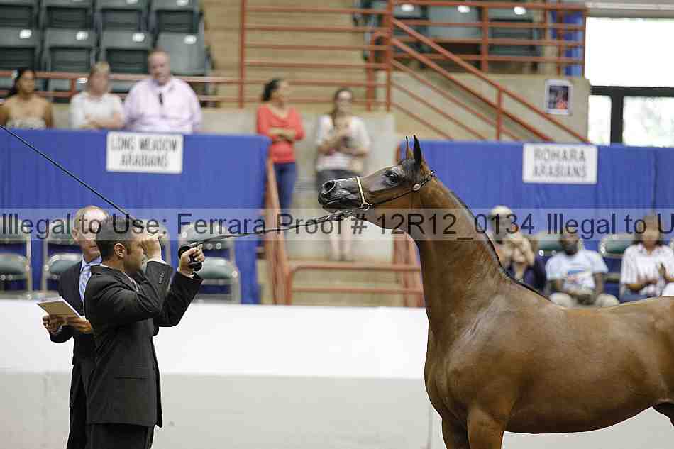 Proof 12r12_0134