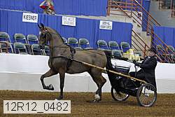 12r12_0482 proof