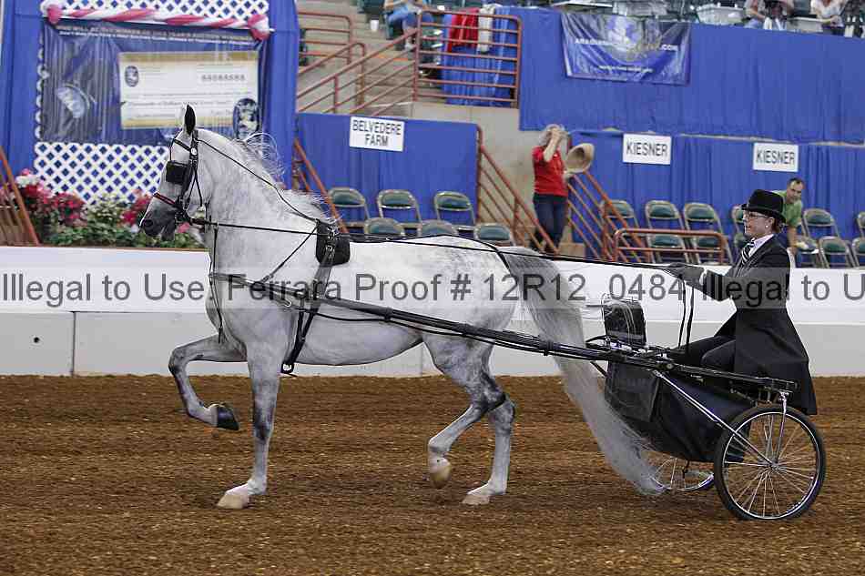 Proof 12r12_0484