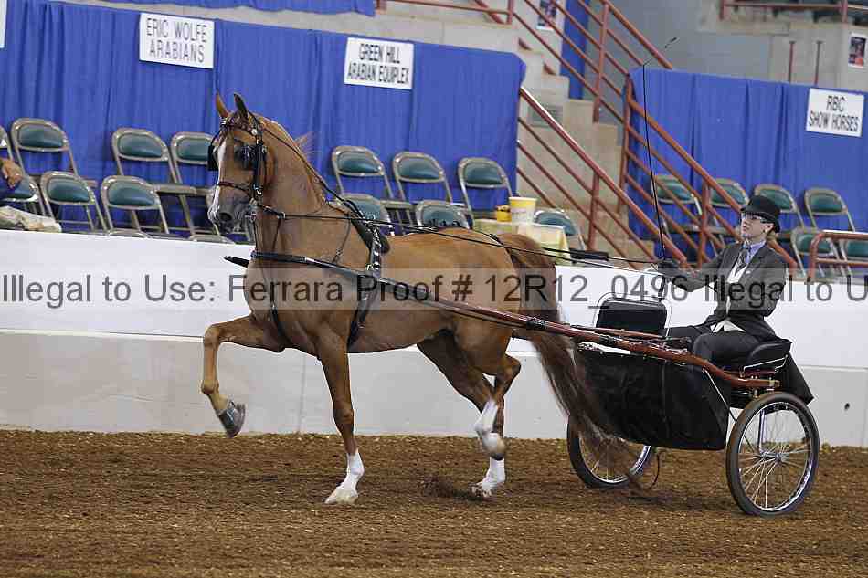 Proof 12r12_0496