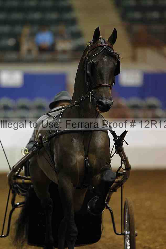 Proof 12r12_0502