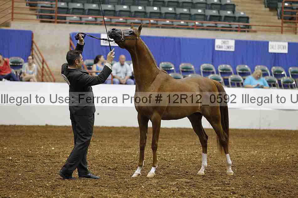 Proof 12r12_0592