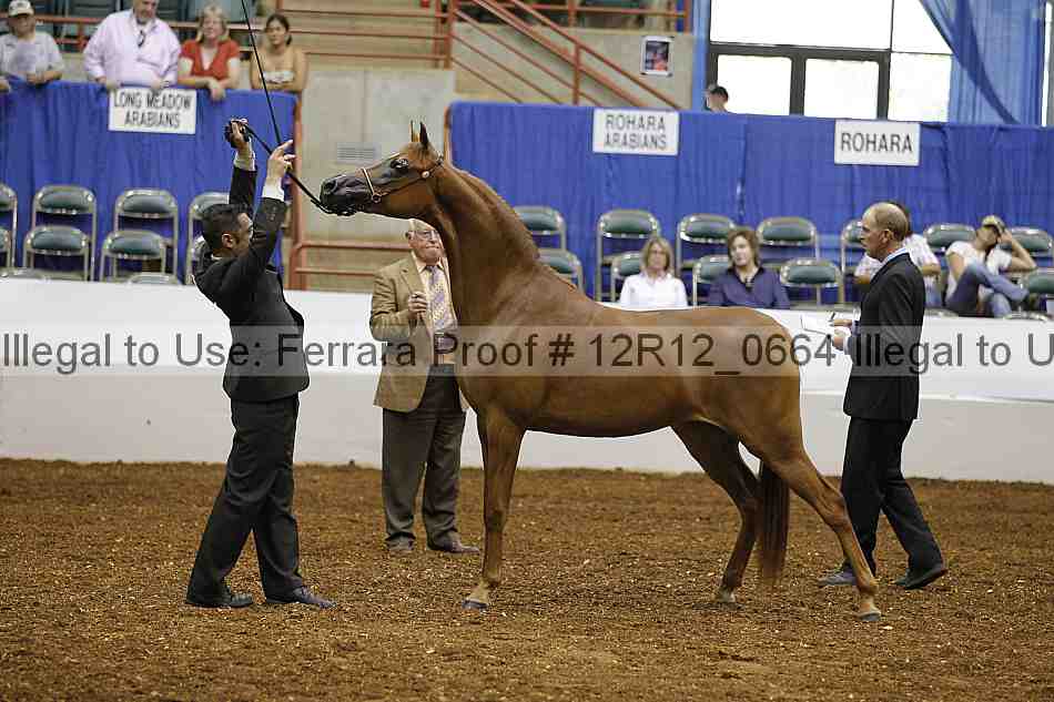 Proof 12r12_0664