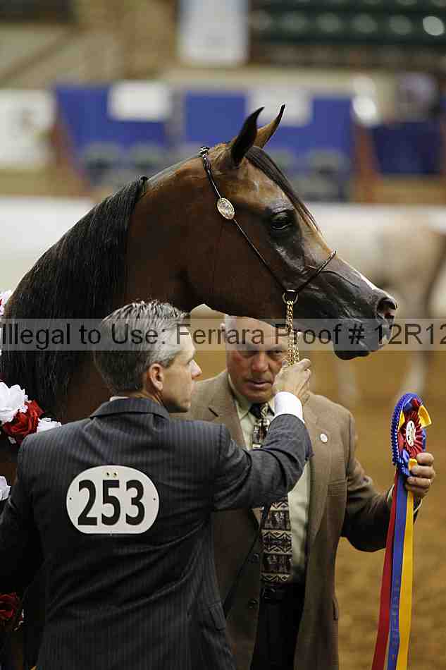 Proof 12r12_0693