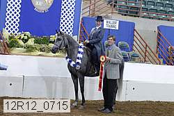 12r12_0715 proof