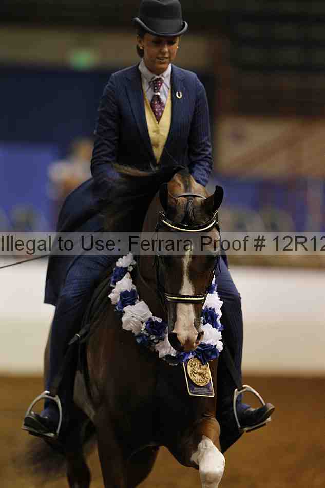 Proof 12r12_0728